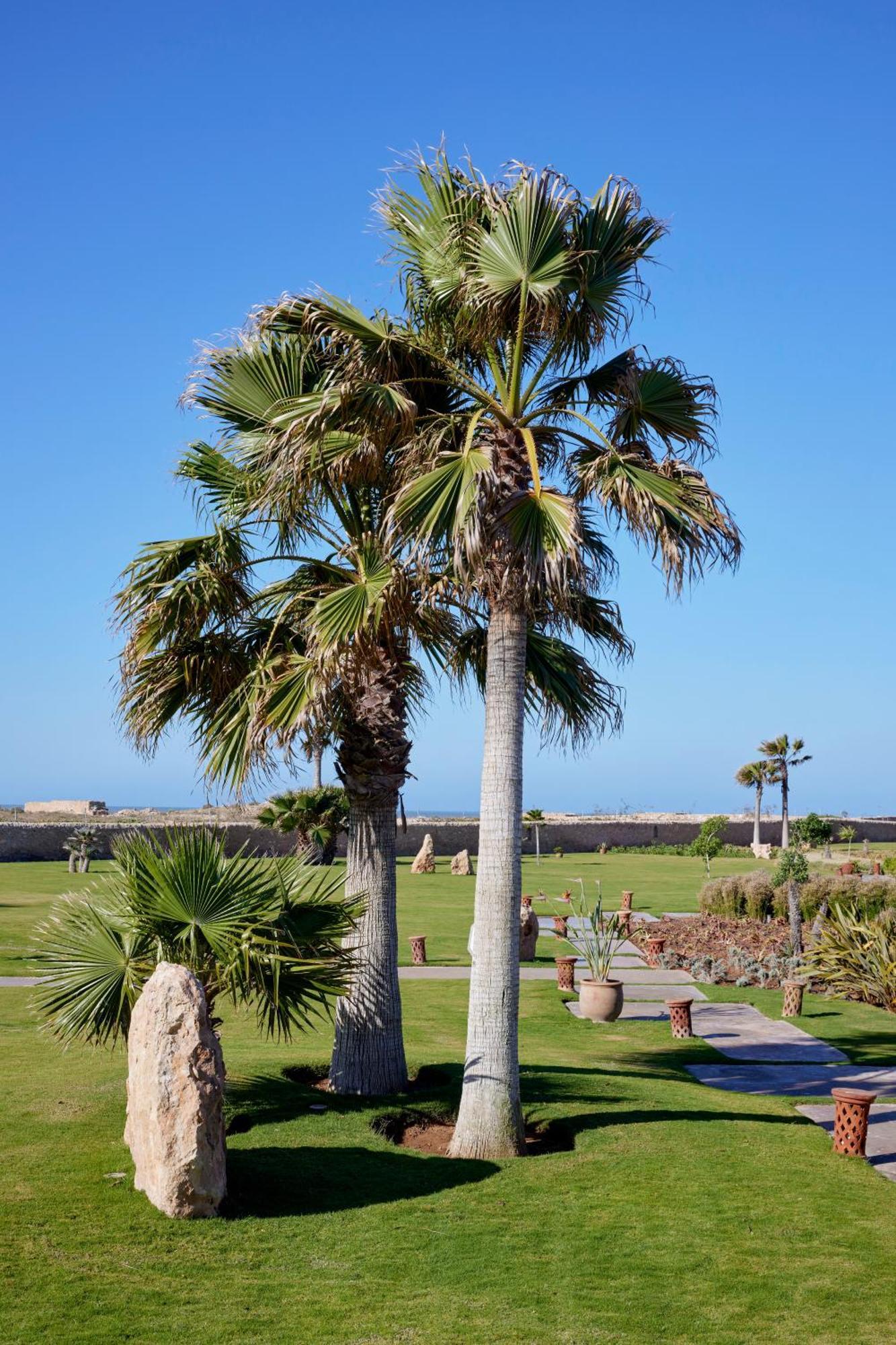 Baberrih Hotel Hospitality Palaces & Resorts Essaouira Exterior photo